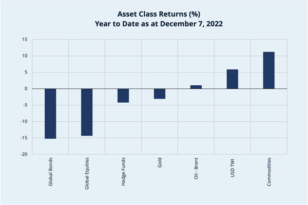 Asset Class Returns (%)